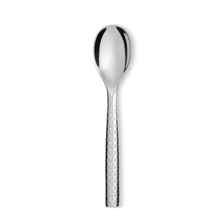 Alessi FM23/39 Colombina Fish steel fish spoon - Buy now on ShopDecor - Discover the best products by ALESSI design