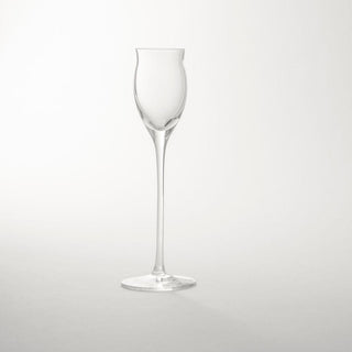 Schönhuber Franchi Q2 grappa glass cl. 6,5 - Buy now on ShopDecor - Discover the best products by SCHÖNHUBER FRANCHI design